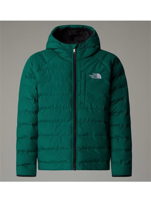 b drew peak p/o hoodie THE NORTH FACE | NF0A88TWNL11NL1